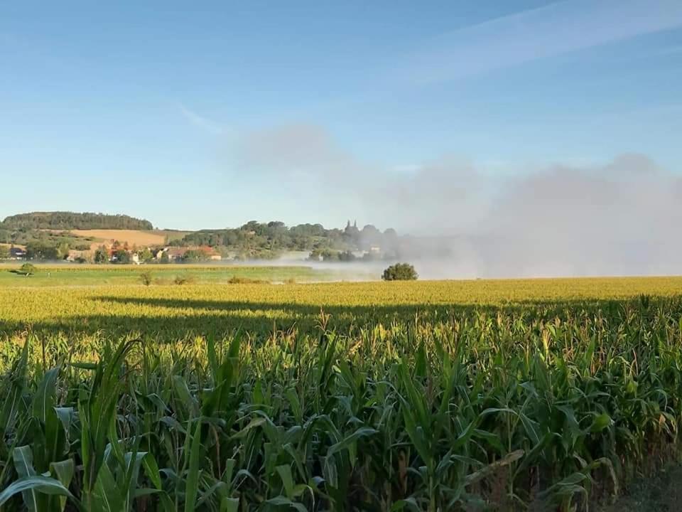 Reiterhof Schmidt, Gaststaette & Pension Golk Kültér fotó